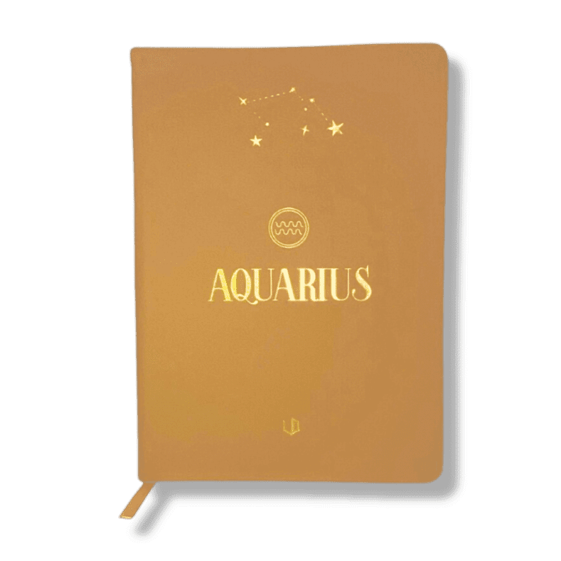 Sổ Tay Cao Cấp Zodiac 12 Cung Hoàng Đạo - Bảo Bình - Aquarius thumbnail 2